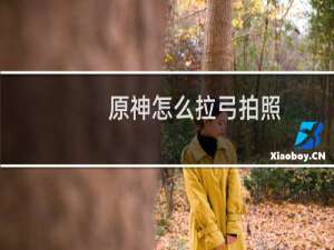 原神怎么拉弓拍照
