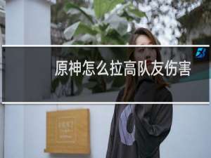 原神怎么拉高队友伤害