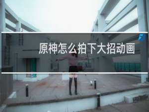 原神怎么拍下大招动画