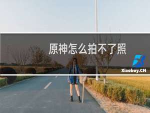 原神怎么拍不了照