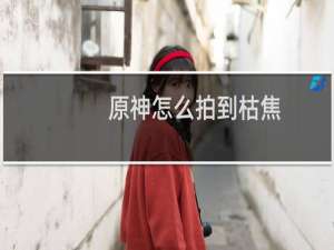 原神怎么拍到枯焦