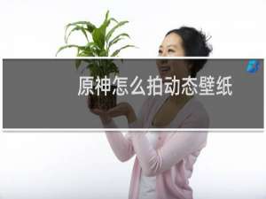 原神怎么拍动态壁纸