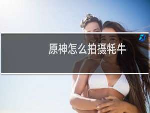 原神怎么拍摄牦牛
