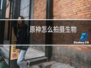 原神怎么拍摄生物