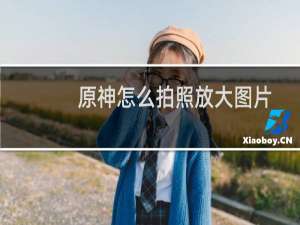 原神怎么拍照放大图片