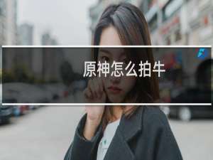 原神怎么拍牛