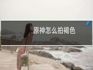 原神怎么拍褐色