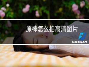 原神怎么拍高清图片