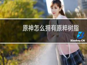 原神怎么拥有原粹树脂