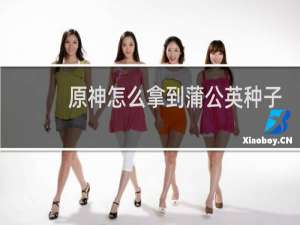 原神怎么拿到蒲公英种子