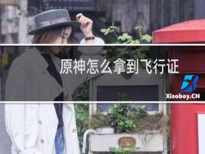 原神怎么拿到飞行证
