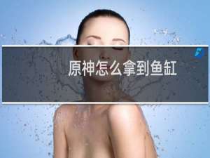 原神怎么拿到鱼缸