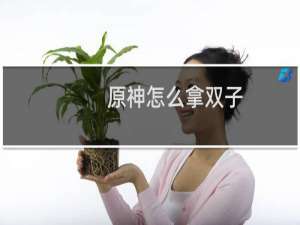 原神怎么拿双子