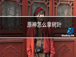 原神怎么拿树叶