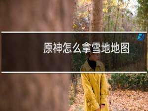 原神怎么拿雪地地图