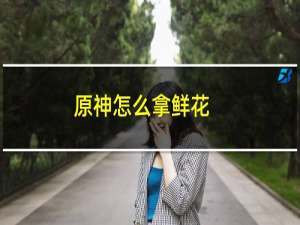 原神怎么拿鲜花