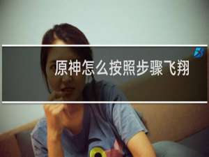 原神怎么按照步骤飞翔