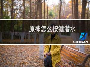 原神怎么按键潜水