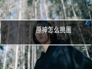 原神怎么挑画