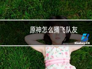 原神怎么捅飞队友