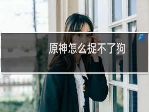 原神怎么捉不了狗