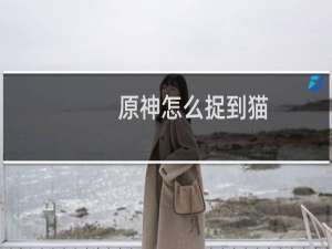 原神怎么捉到猫