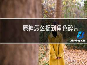 原神怎么捉到角色碎片