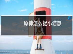 原神怎么捉小猫崽