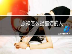 原神怎么捉猫猫的人