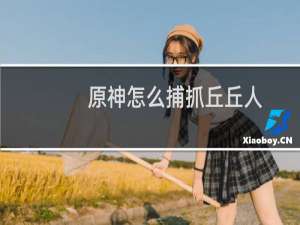 原神怎么捕抓丘丘人