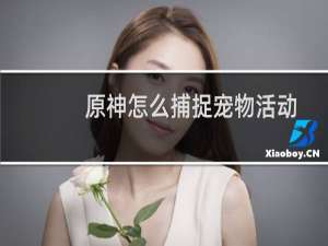 原神怎么捕捉宠物活动