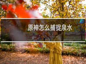 原神怎么捕捉泉水