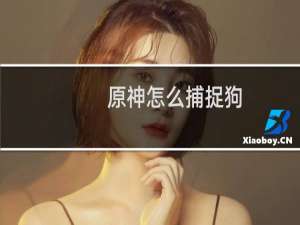 原神怎么捕捉狗