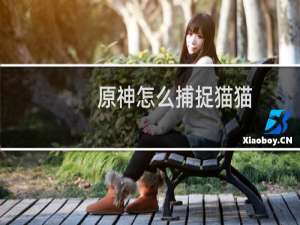 原神怎么捕捉猫猫