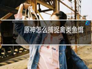 原神怎么捕捉禽类鱼饵