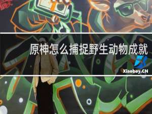 原神怎么捕捉野生动物成就