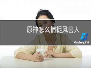 原神怎么捕捉风兽人