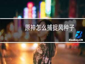 原神怎么捕捉风种子