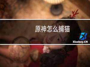 原神怎么捕猫