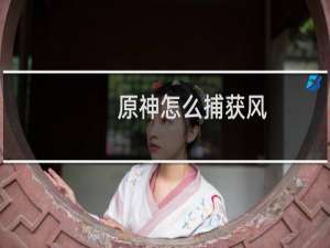 原神怎么捕获风