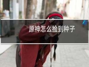 原神怎么捡到种子