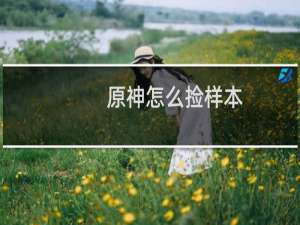 原神怎么捡样本