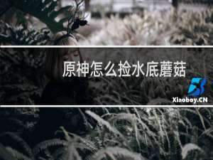 原神怎么捡水底蘑菇
