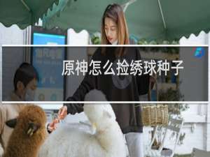 原神怎么捡绣球种子
