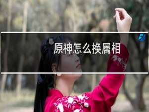 原神怎么换属相