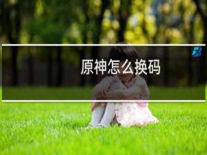 原神怎么换码