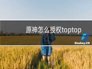 原神怎么授权toptop