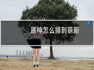 原神怎么排到萌新