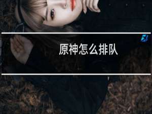 原神怎么排队