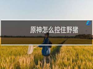 原神怎么控住野猪